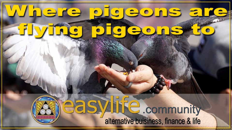 Interesting new blog entry you should read: https://easylife.community/en/blog/14-recent/288-where-pigeons-are